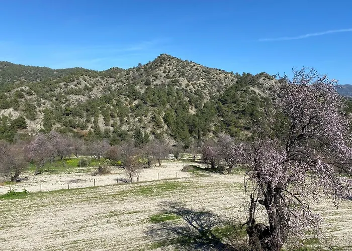 Revecca House * Ayios Mamas